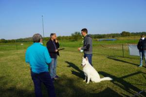 TC - Presentazione al giudice