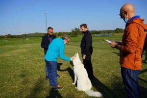 TC - Presentazione al giudice