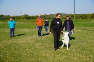 TC - Gruppo