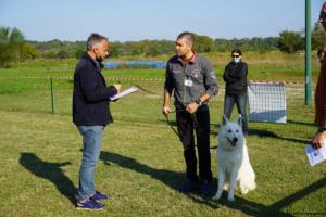 TC - Presentazione al giudice