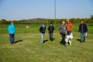 TC - Gruppo