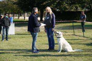 TC - Presentazione al giudice