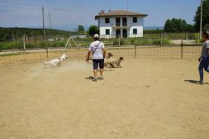 Chuck Bpolar Bear di casa Praderio