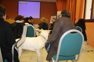 aimg_5339 