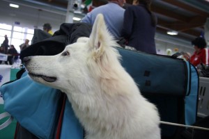 maimg_7868