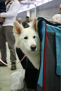 maimg_7873