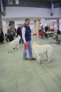 maimg_7882