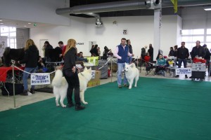 maimg_7907
