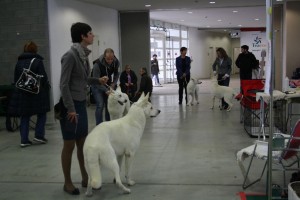 maimg_7917