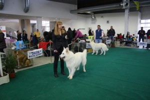 maimg_7920
