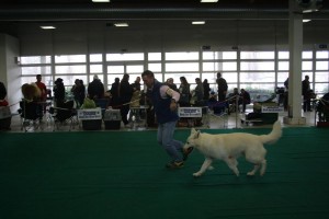 maimg_7956