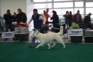 maimg_7965