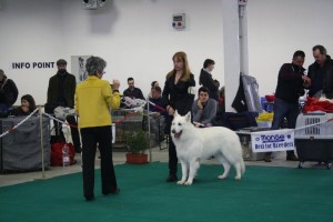 maimg_7973