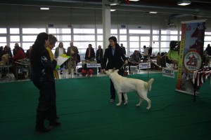 maimg_7993