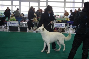 maimg_8009