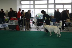 maimg_8022