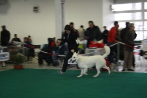 maimg_8025