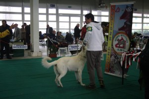 maimg_8034