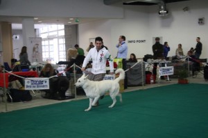 maimg_8043
