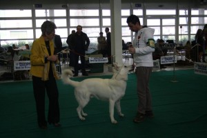 maimg_8054