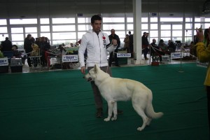 maimg_8063