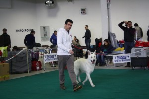 maimg_8070