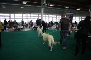 maimg_8073
