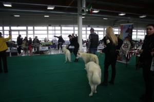 maimg_8074