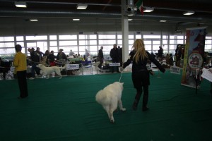 maimg_8083