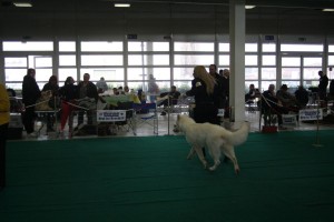 maimg_8087