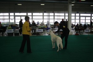 maimg_8088