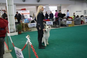maimg_8095