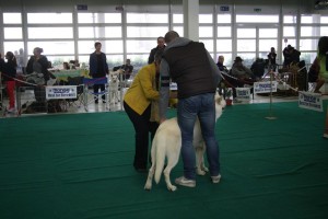maimg_8099