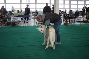 maimg_8103