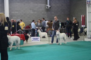 maimg_8131