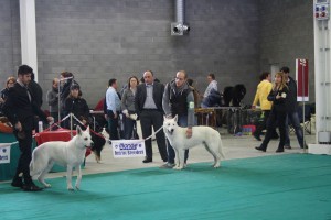 maimg_8133