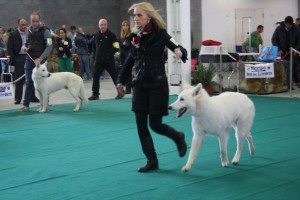 maimg_8138
