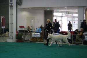 maimg_8144