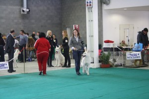 maimg_8156