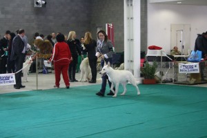 maimg_8159
