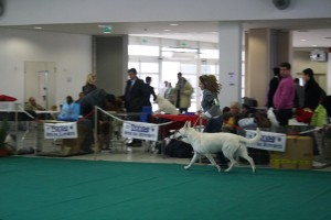 maimg_8169