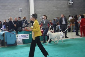maimg_8172