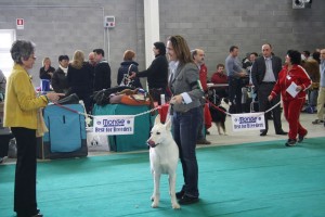 maimg_8178