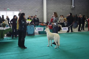 maimg_8192