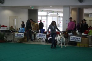 maimg_8209