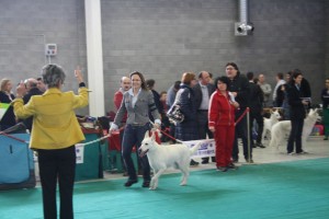 maimg_8230