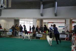 maimg_8244