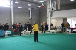maimg_8247