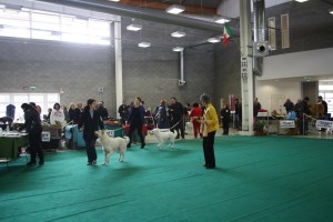 maimg_8248