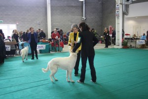 maimg_8249